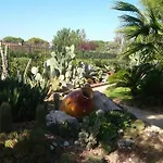 Il Giardino Del Te ゲストハウス バルレッタ