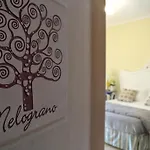 Il Giardino Del Te