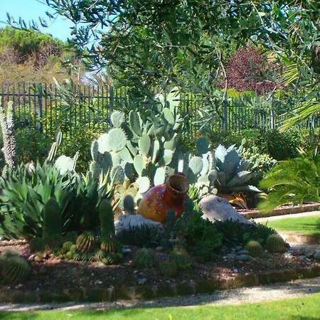Il Giardino Del Te 4* Barletta