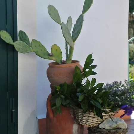 Il Giardino Del Te Barletta