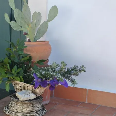 Il Giardino Del Te 4*