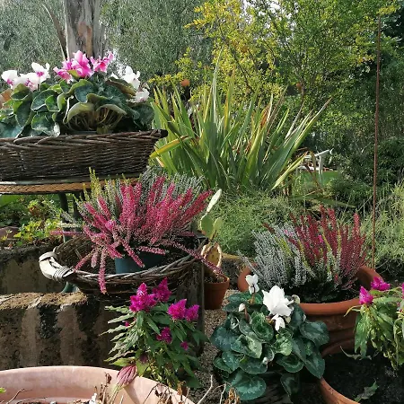 Il Giardino Del Te Barletta