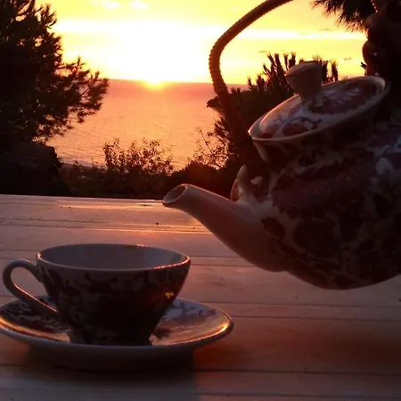 Il Giardino Del Tè Barletta