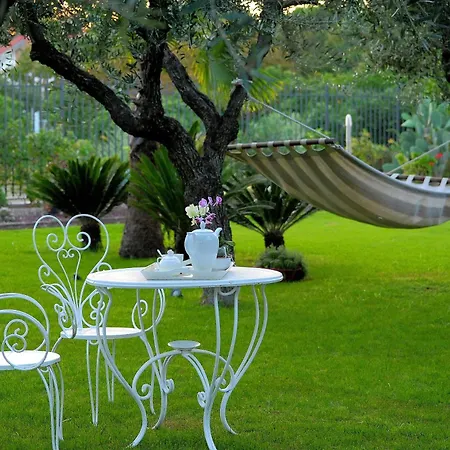 Guest house Il Giardino Del Te *