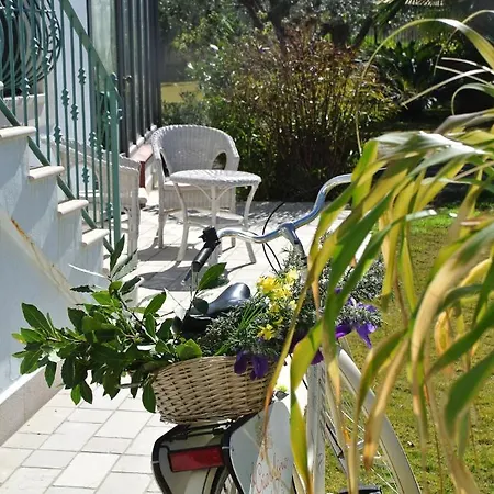 Il Giardino Del Tè