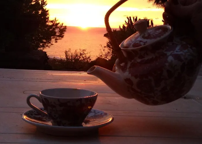 Il Giardino Del Te בארלטה