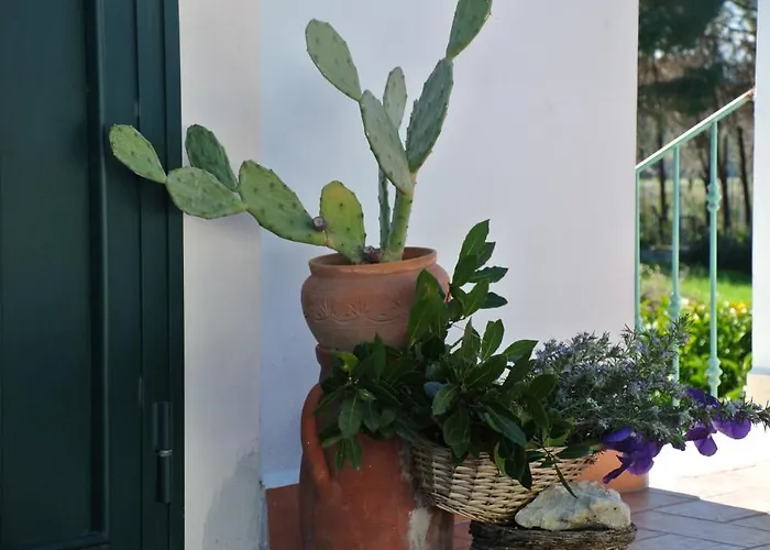 Il Giardino Del Te בארלטה
