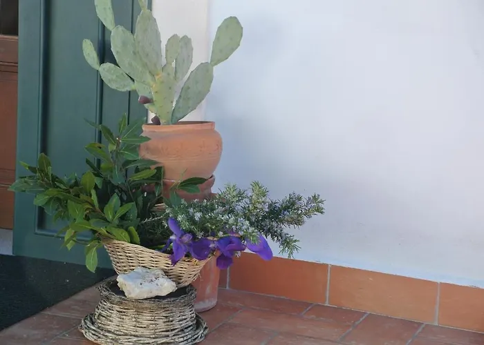 Il Giardino Del Te 4*